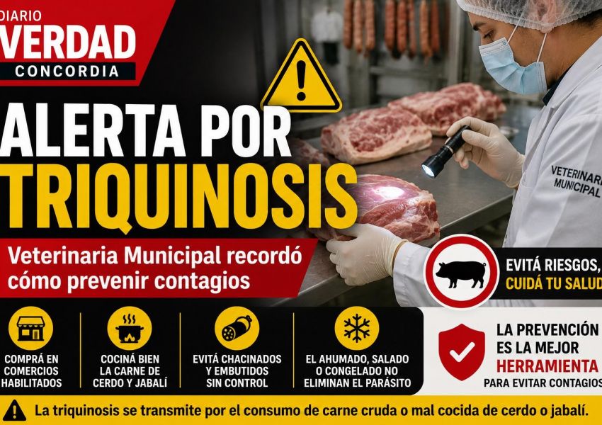 Advierten sobre la triquinosis: qué cuidados recomienda Veterinaria Municipal para prevenir contagios