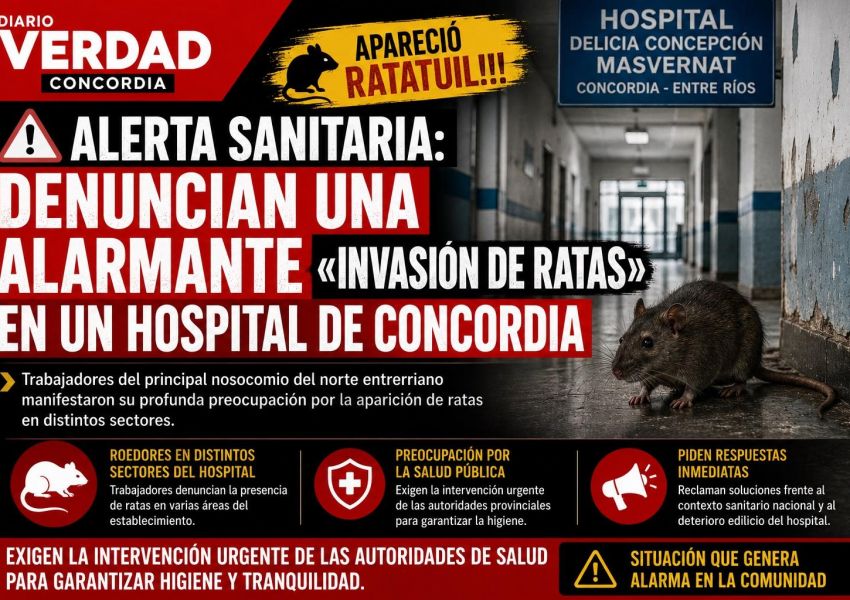Alerta sanitaria en Concordia: denuncian invasión de ratas en el Hospital Masvernat