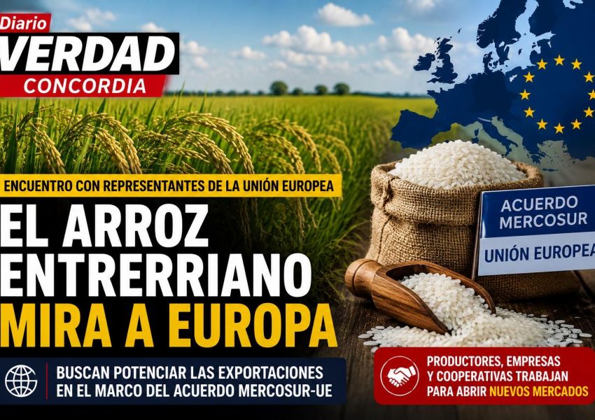 Arroz entrerriano mira hacia Europa: productores analizaron nuevas oportunidades de exportación