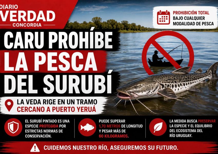 CARU prohibió la pesca del surubí pintado en un tramo del río Uruguay cercano a Puerto Yeruá