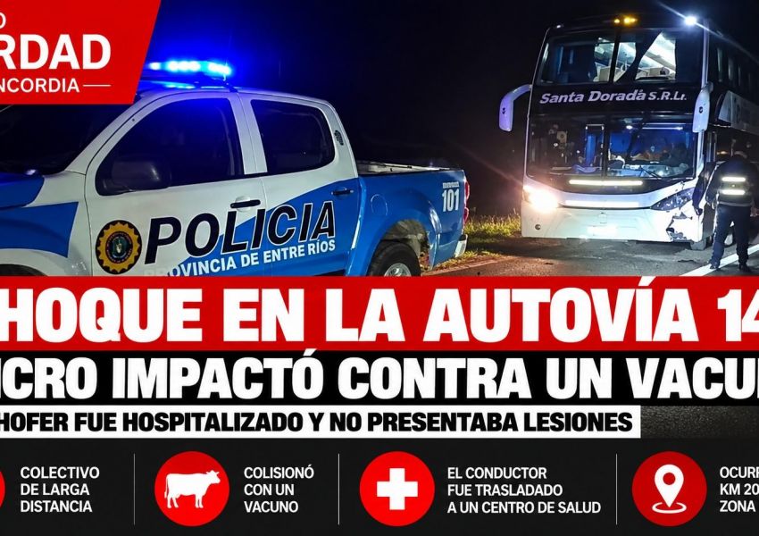 Choque contra un animal suelto en la Autovía 14: un chofer de micro fue hospitalizado