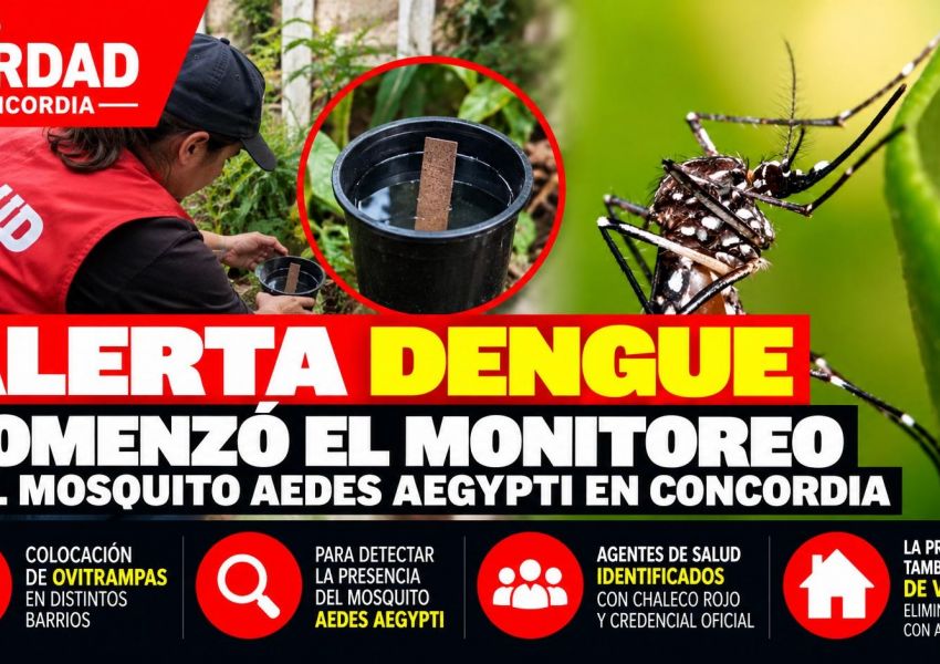 Concordia inició el monitoreo del mosquito Aedes aegypti para prevenir nuevos casos de dengue