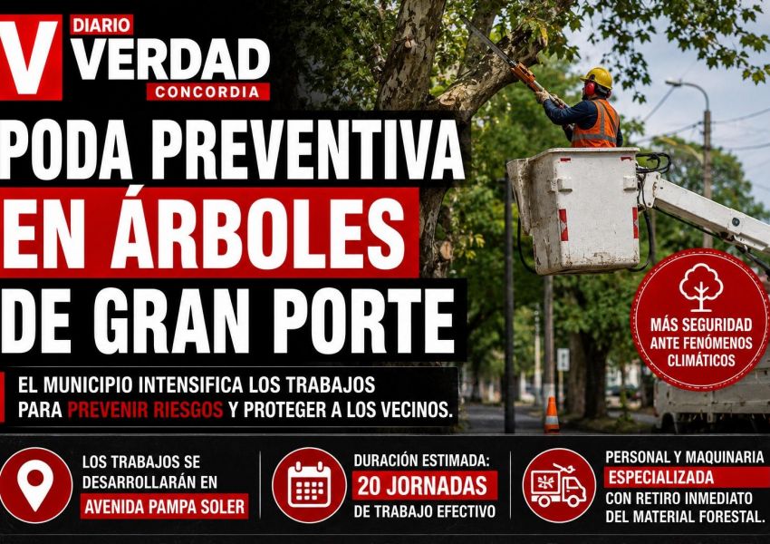 Concordia intensifica la poda de árboles de gran porte para prevenir riesgos