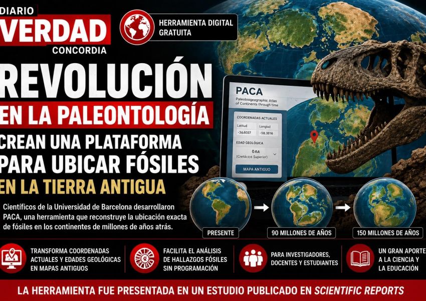 Crean una plataforma que permite ubicar fósiles en los mapas de la Tierra de hace millones de años