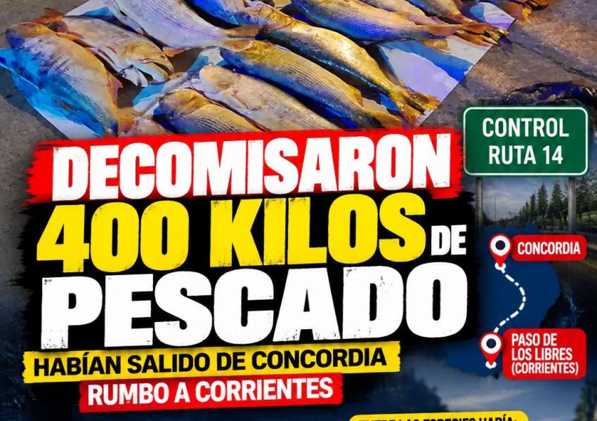 Decomisaron 400 kilos de pescado que habían salido de Concordia rumbo a Corrientes