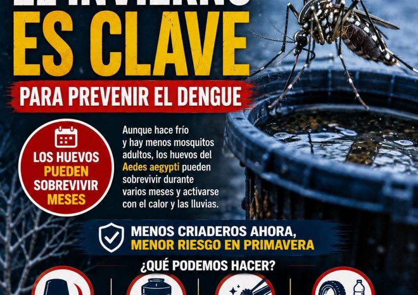 Dengue: advierten que lo que hagamos durante el invierno puede evitar brotes en primavera