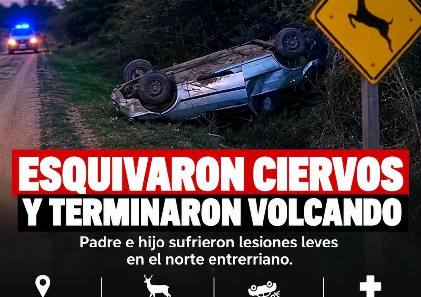 Esquivaron una manada de ciervos y volcaron en el norte entrerriano: padre e hijo resultaron heridos