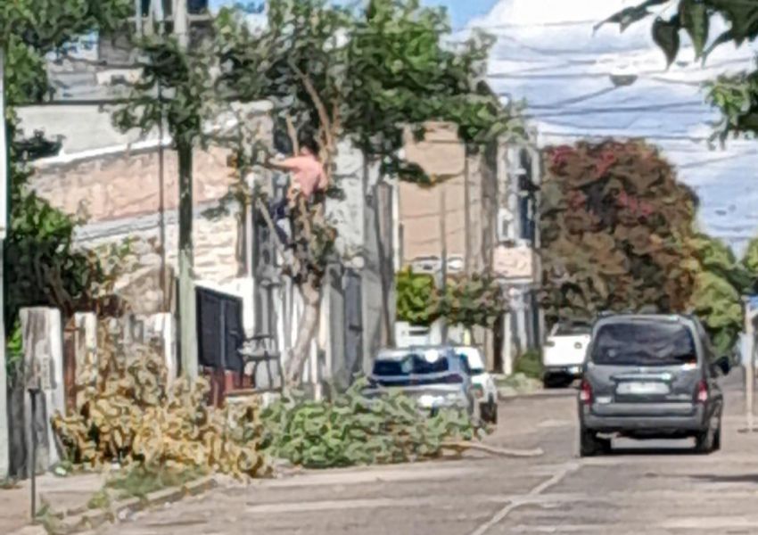 Falta grave de vecinos en Castelli casi sarmiento