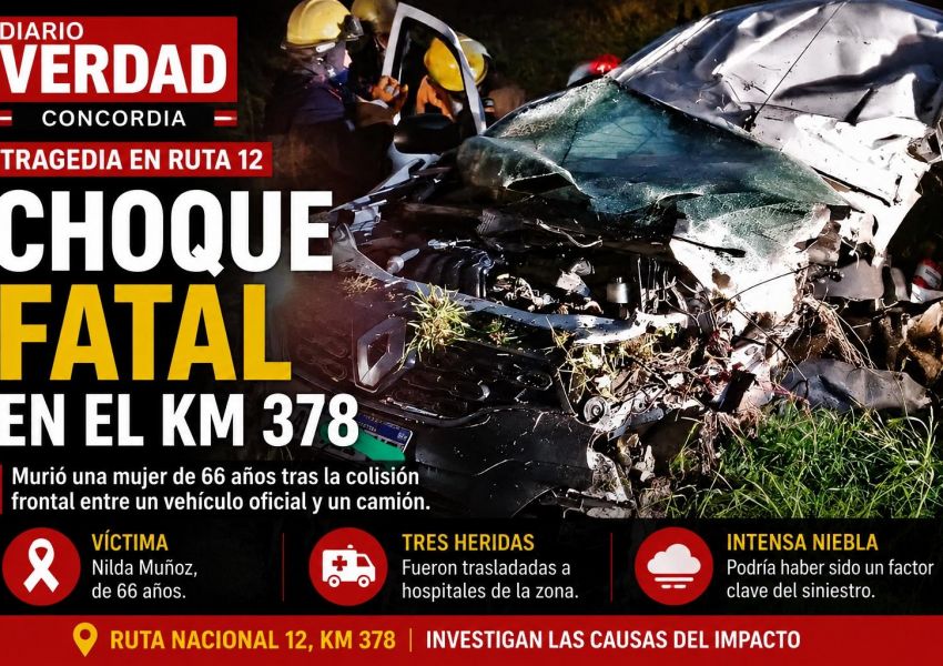Identificaron a la mujer que murió en el choque entre un vehículo oficial y un camión en la Ruta 12