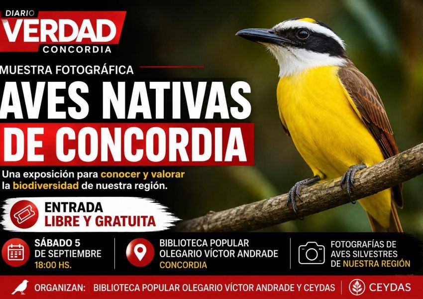 Las aves nativas de Concordia serán protagonistas de una muestra fotográfica gratuita