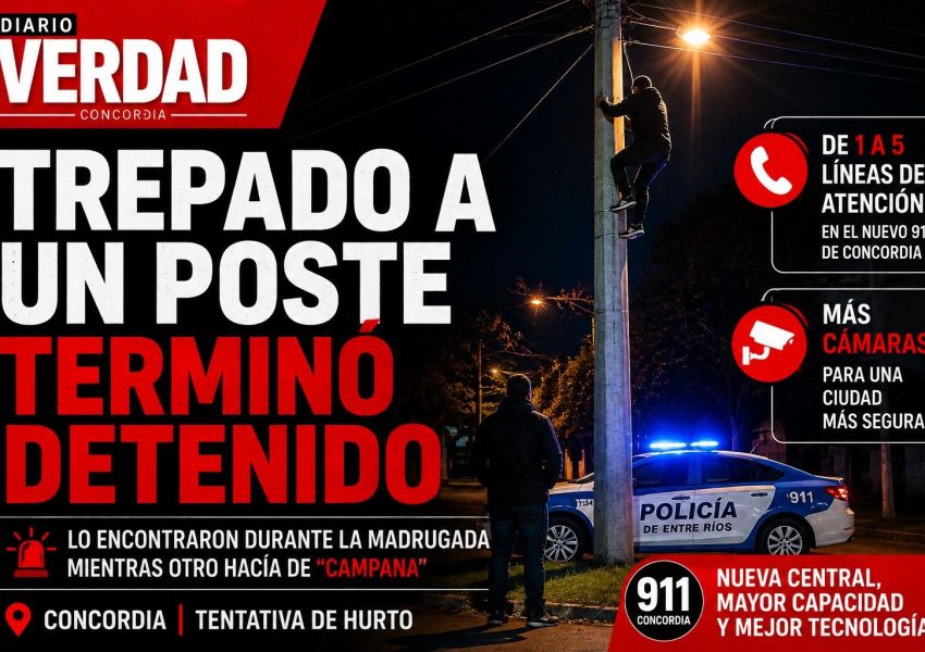 Lo encontraron trepado a un poste durante la madrugada y terminó detenido por tentativa de hurto