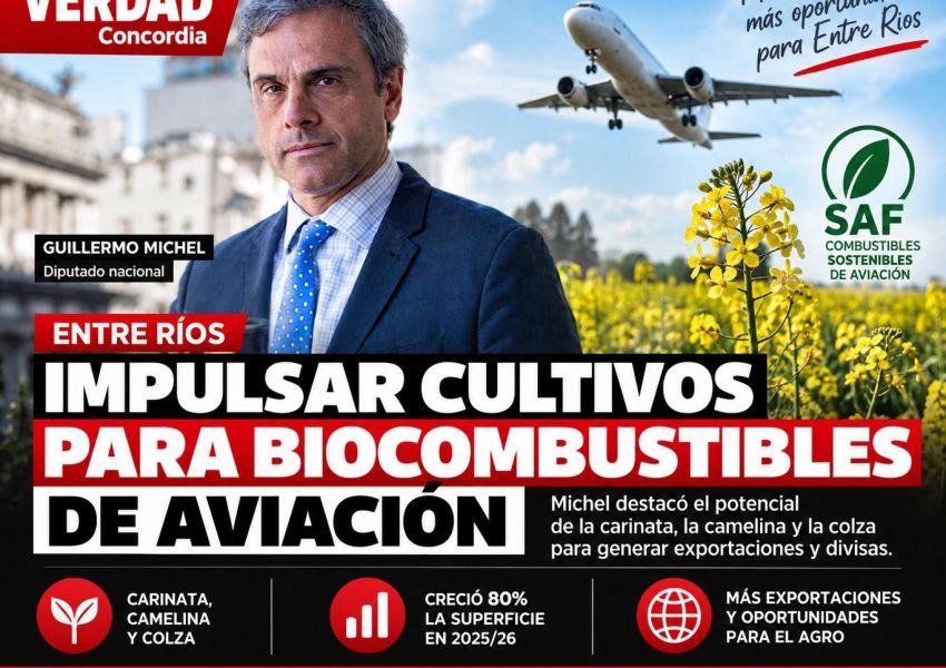 Michel planteó impulsar cultivos para biocombustibles de aviación en Entre Ríos