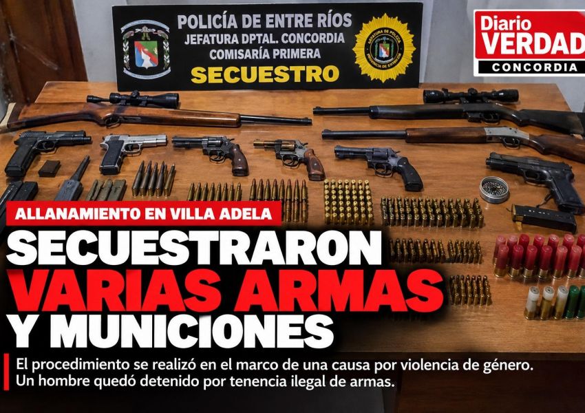 Secuestraron varias armas y municiones durante un allanamiento en Villa Adela