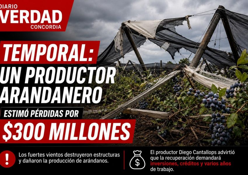 Temporal en Concordia: un productor arandanero estimó pérdidas por $300 millones