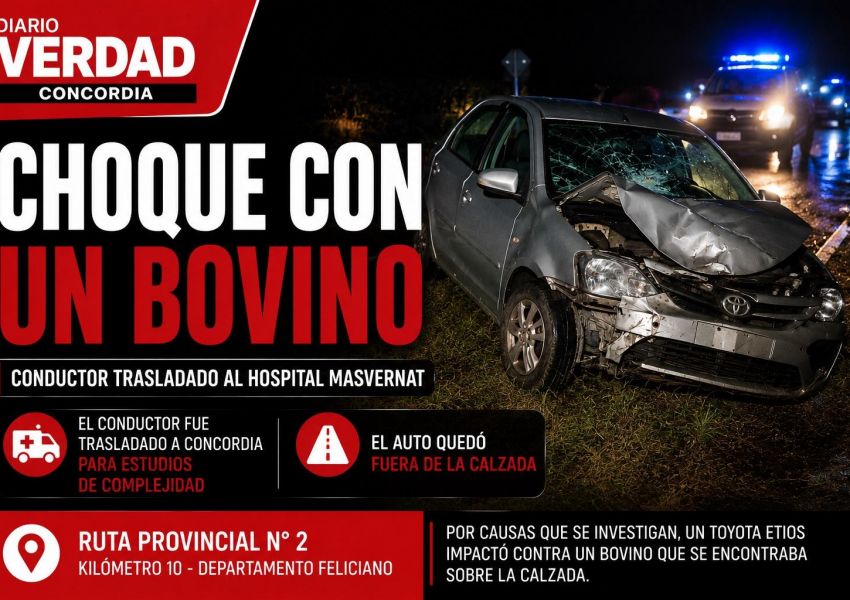 Un conductor fue trasladado al Masvernat tras chocar contra un bovino en la Ruta Provincial Nº 2